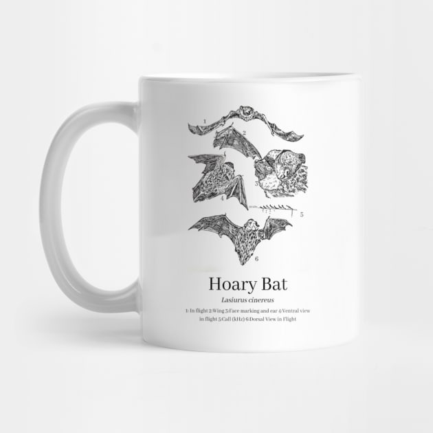 Hoary Bat Anatomy by Animal Surrealism